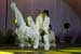 normal-Aikido-aikido_007